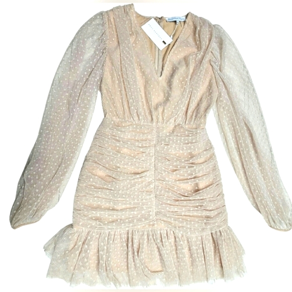 NEW Endless Rose Anthropologie Sheer Nude Pink Ruched Mini Dress Swiss Polka Dot - Picture 5 of 16